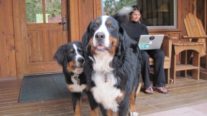 The Pups and Me:  Riverfront Porch at Sorrel