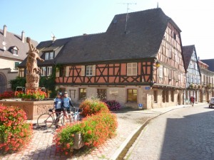 Alsace in Its Rosy Splendor