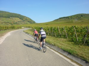 On the Route des Vins en Alsace