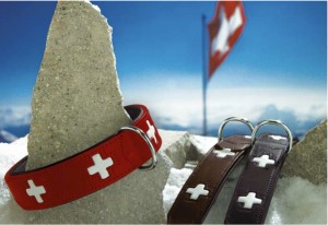 Swiss Criss Dog Collars