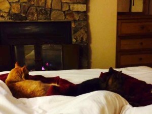 Leo and Clara Relaxing with Me at the Lodge in Front of the Fire