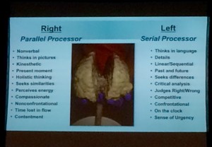 Left and Right Brain Differences as Presented by Dr. Taylor