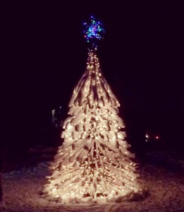 The Telluride Ski Tree on Christmas