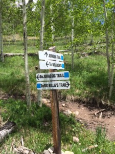 Telluride Mountain Village Hiking Signs