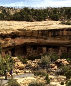 Spruce Tree House Cliff Dwelling at Mesa Verde