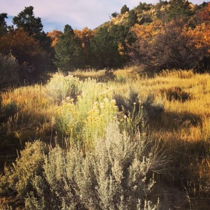 Autumnal Splendor at Mesa Verde