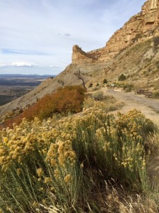 The Road Less Traveled at Mesa Verde