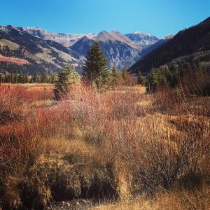 Telluride this Week: A View Far from DC